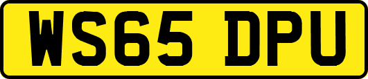 WS65DPU