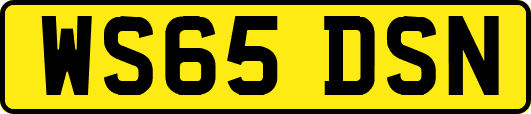 WS65DSN