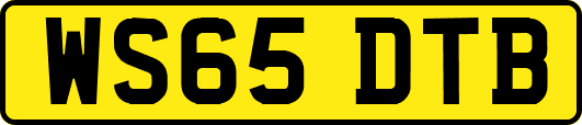 WS65DTB