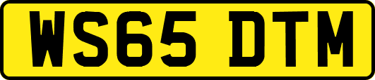 WS65DTM