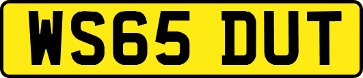 WS65DUT