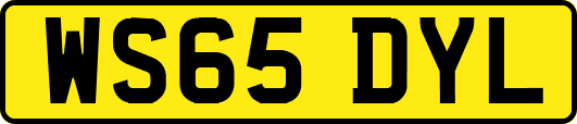 WS65DYL