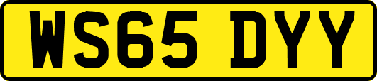 WS65DYY