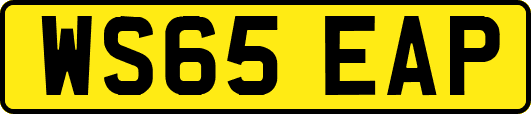 WS65EAP