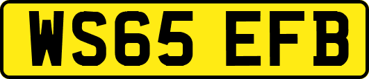 WS65EFB