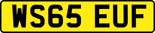 WS65EUF