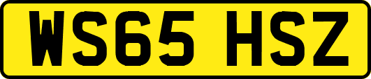 WS65HSZ