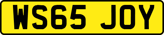 WS65JOY