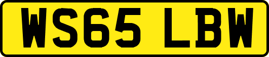 WS65LBW