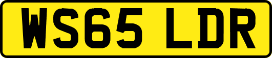 WS65LDR