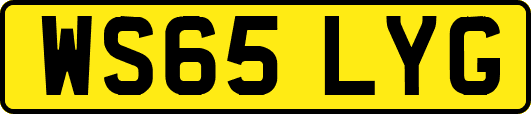 WS65LYG