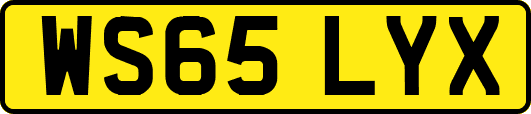 WS65LYX