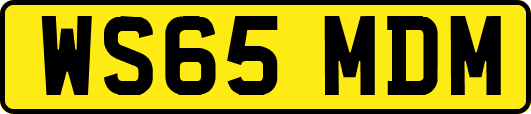 WS65MDM