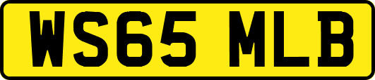 WS65MLB