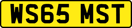 WS65MST