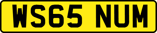 WS65NUM