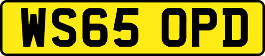 WS65OPD