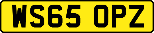 WS65OPZ
