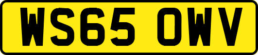 WS65OWV