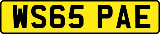 WS65PAE