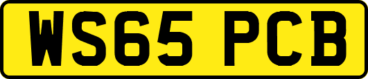 WS65PCB