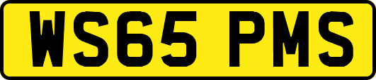 WS65PMS