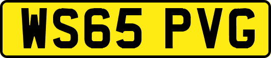 WS65PVG