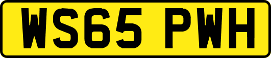 WS65PWH