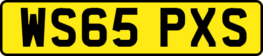 WS65PXS