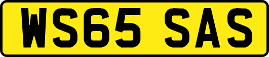 WS65SAS
