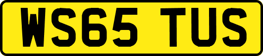 WS65TUS