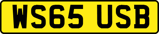WS65USB