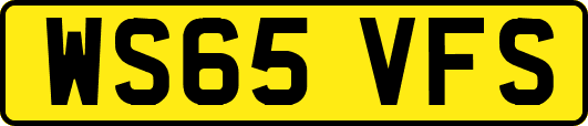 WS65VFS