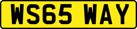 WS65WAY