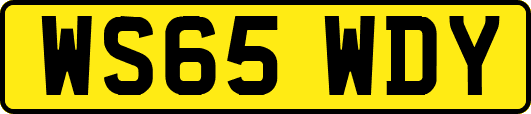 WS65WDY