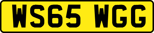 WS65WGG