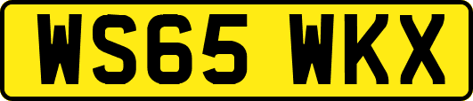 WS65WKX