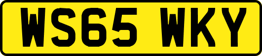 WS65WKY