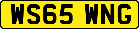 WS65WNG
