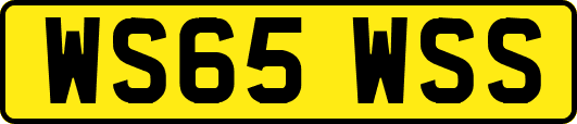 WS65WSS