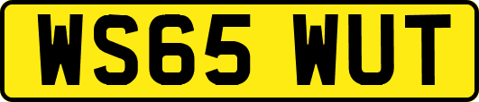 WS65WUT