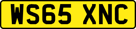 WS65XNC