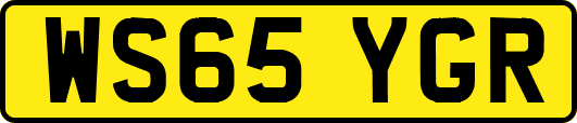 WS65YGR