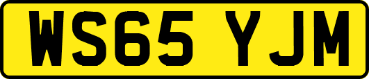 WS65YJM