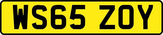 WS65ZOY