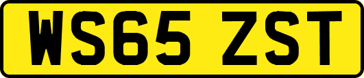 WS65ZST