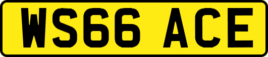 WS66ACE