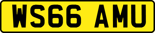 WS66AMU