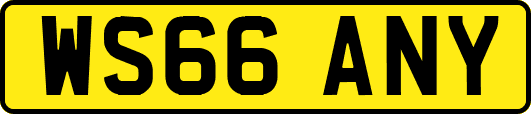 WS66ANY