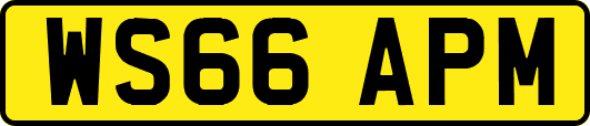 WS66APM